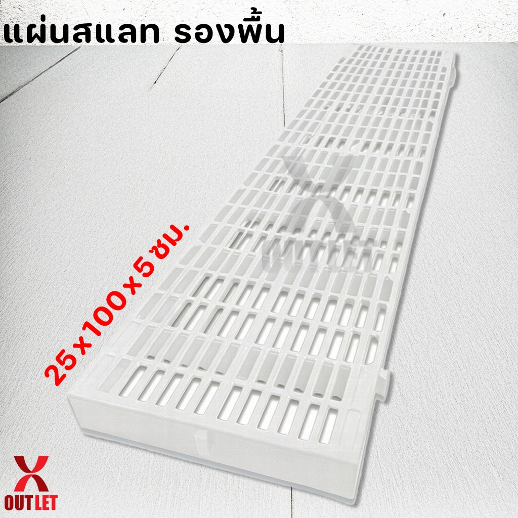 รูปภาพ 8