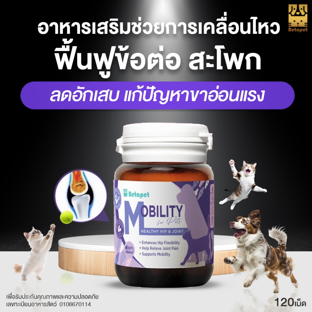 BETAPET อาหารเสริมบำรุงข้อสำหรับสุนัขและแมว ลดความเจ็บปวดในการลุก เดิน นั่ง ขาอ่อนแรง
