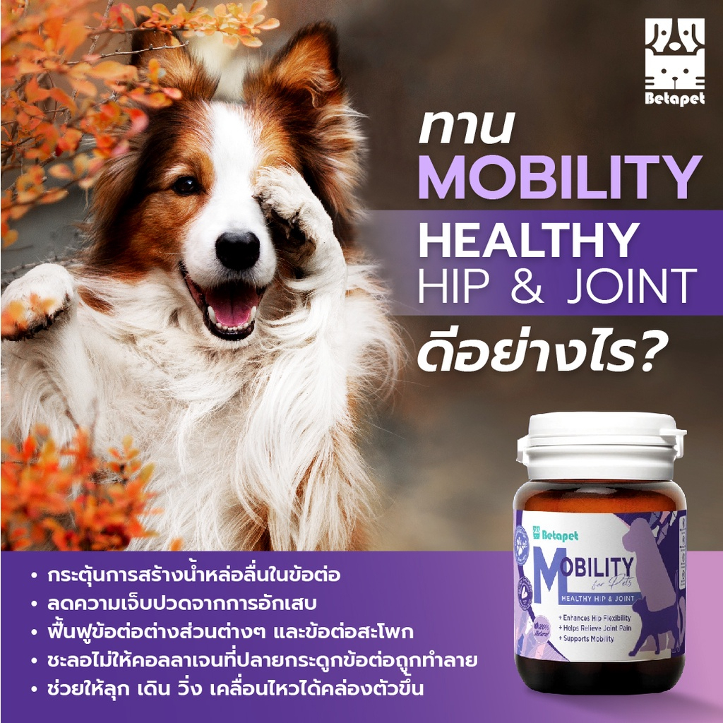 BETAPET อาหารเสริมบำรุงข้อสำหรับสุนัขและแมว ลดความเจ็บปวดในการลุก เดิน นั่ง ขาอ่อนแรง รูปที่ 4