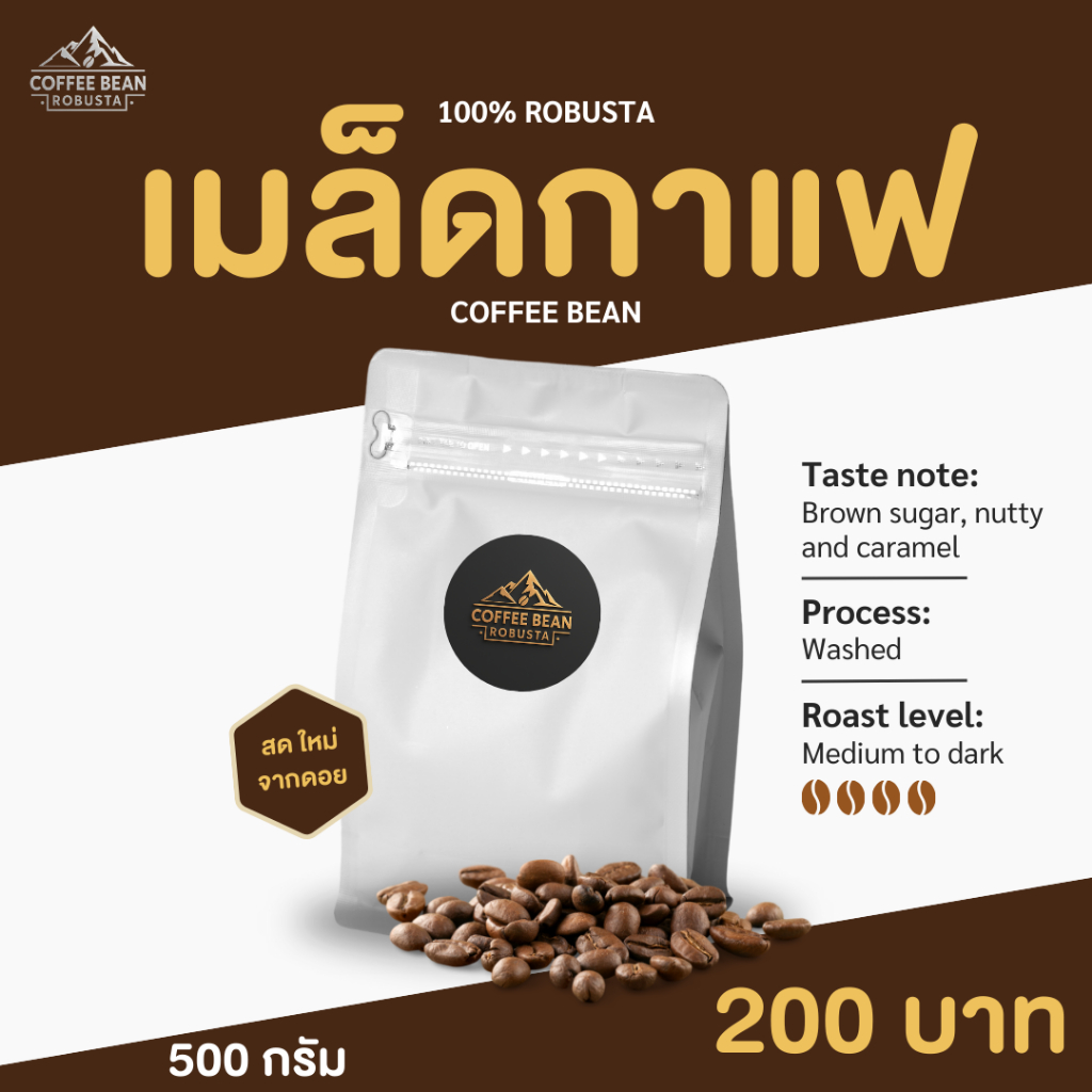 เมล็ดกาแฟ โรบัสต้า Coffee Bean Robusta  100% 500g
