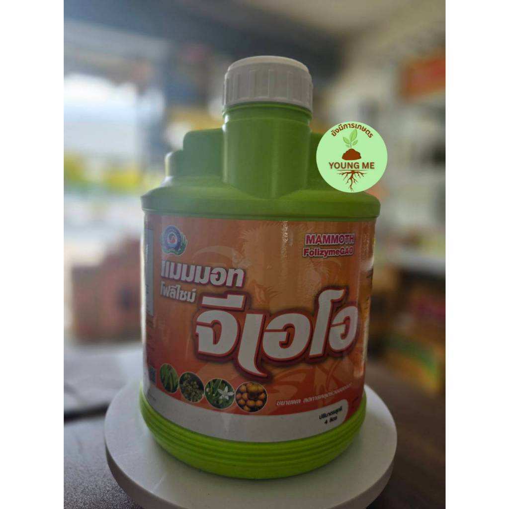 แมมมอทโฟลีไซม์ จีเอโอ เทพวัฒนา ช่วยสะสมอาหาร ช่วยสร้างตาดอก