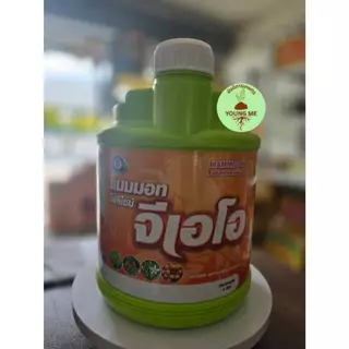 แมมมอทโฟลีไซม์ จีเอโอ เทพวัฒนา ช่วยสะสมอาหาร ช่วยสร้างตาดอก