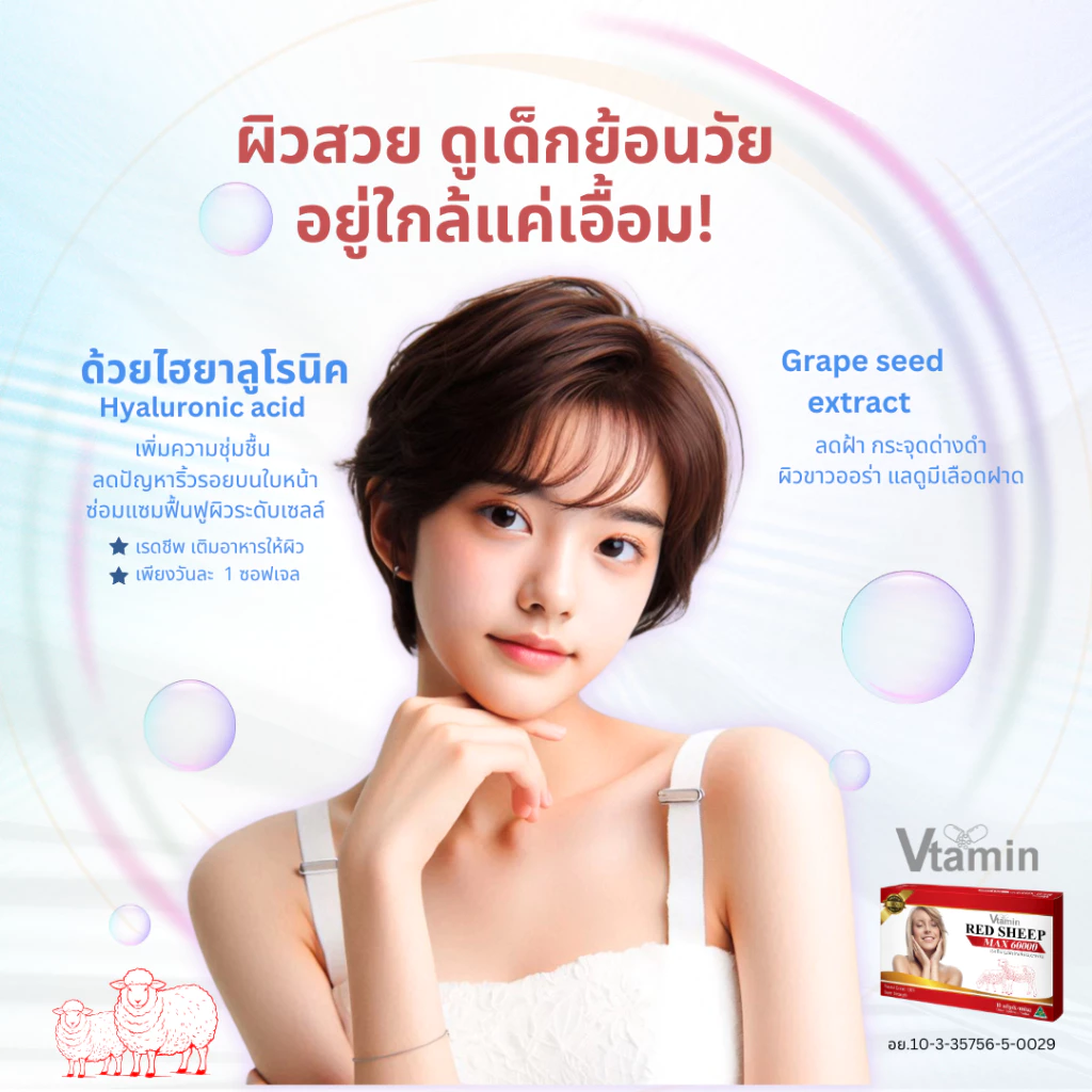รกแกะ Sheep Placenta เซ็ท 3 กล่อง thumbnail 3