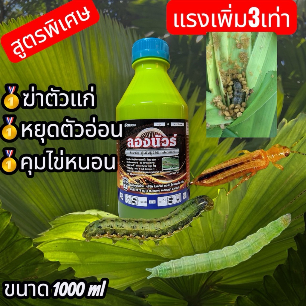 ลองนัวร์ สารกำจัดแมลงและคุมไข่ในตัวเดียวกันสามารถกำจัดได้ทั้งตัวแก่และตัวอ่อน คุมไข่แมลงทำให้ไข่ไม่ฟักออกมาเป็นตัวได้