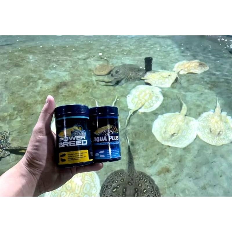 Power Breed / Aqua Plus ขนาด 100 g. (สำหรับปลามังกร เสือตอ และ กระเบน)