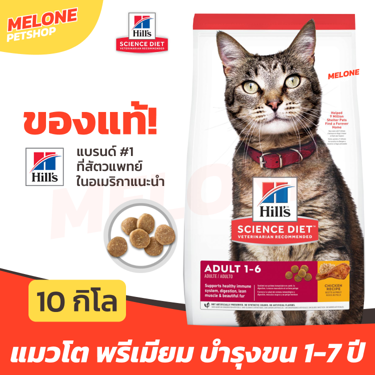 [กระสอบ] Hill's ฮิลส์ อาหารแมว สูตร Science Diet Adult 1-6 สำหรับ แมวโต บำรุงขน คุมแร่ธาตุ รสไก่ อายุ 1-6 ปี ขนาด 10 kg