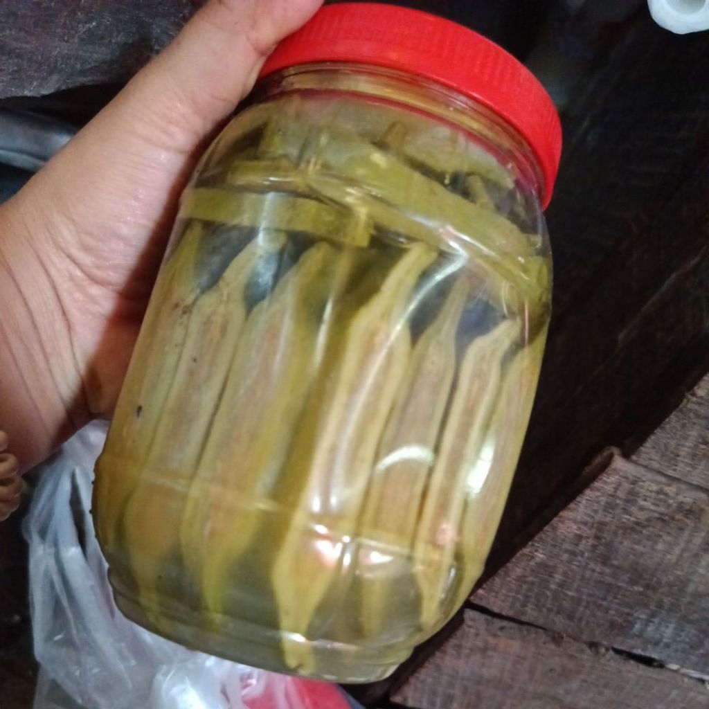 ฝักลิ้นฟ้า,ลิ้นเพกาดองกระปุกเล็ก,ใหญ่