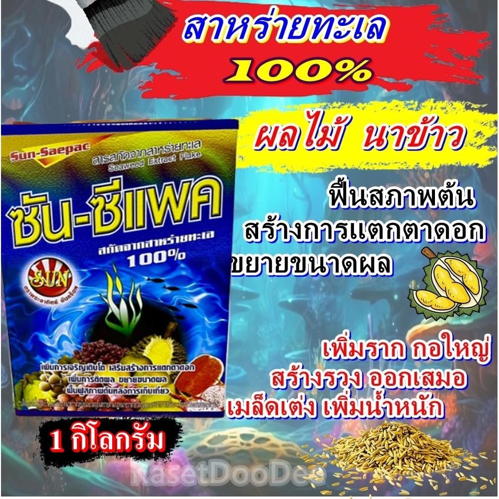 ซันซีแพค 1 กิโล สาหาร่ายทะเละ 100 % ฮอร์โมนอาหารเสริม สำหรับพืชทุกชนิด นาข้าว ไม้ผล ทุดรียน ฟื้นต้น ขยายลูก สร้างรวง เพิ
