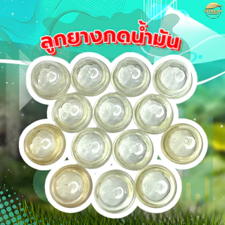 ยางกดน้ำมัน 10 ชิ้น ยางคุณภาพสูงสุดในตลาด สำหรับเครื่องตัดหญ้าทุกรุ่น ถ้วยปั๊ม ยางแย๊กน้ำมัน ถ้วยแย๊กน้ำมัน