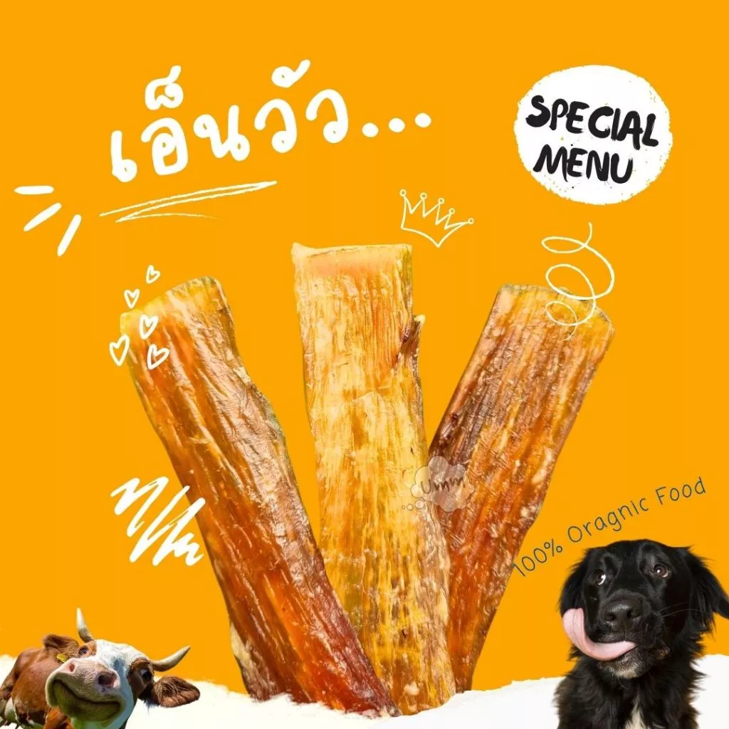 Backstrap Tendon เอ็นวัวอบแห้ง ขัดฟันน้องหมา ขนมสุนัข umm ขนมหมา