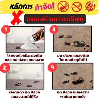 โปรมด 12 กระปุก (6 แถม 6 ) The Ant ผงกำจัด มด ปลวก แมลงสาบ📍 จัดหนักจัดเต็มไปเลยค่ะ📍