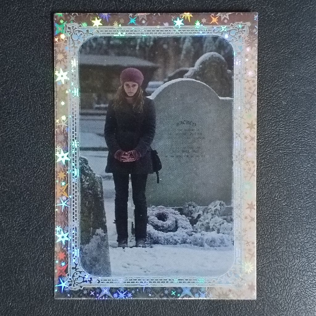 การ์ดแฮร์รี่ พอตเตอร์ PANINI HARRY POTTER EVOLUTION TRADING CARD