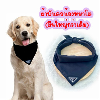 (A2)ผ้าพันคอน้องหมา ผ้าสีดำล้วน ใส่แล้วหล่อ คุณหนูคุณใจ