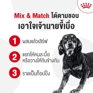 [ แบ่งขาย 1kg แท้ชัวร์ ] ROYAL CANIN อาหารแมวแบ่งขาย 1 KG แพค2 ชั้นใส่ถุงซิปล็อค