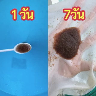 อาหารไรแดงน้ำใส สูตรT10 (เก่าบิน) บูมx3 แบบเข้มข้น ขนาด 250 ml.