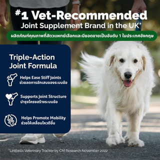 YuMOVE ADVANCE 360 for Dogs (120 เม็ด) สูตรดูแลข้อต่ออย่างครบถ้วนสำหรับสุนัขที่มีภาวะข้อเสื่อมแล้ว