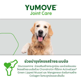 YuMOVE ADVANCE 360 for Dogs (120 เม็ด) สูตรดูแลข้อต่ออย่างครบถ้วนสำหรับสุนัขที่มีภาวะข้อเสื่อมแล้ว