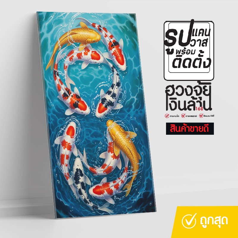 ปลาคาร์ฟ 8 ตัว ว่ายวนกันเป็นอินฟิตี้ ปลาคาร์ฟเงิน-ทอง เสริมฮวงจุ้ย 8 carp, feng shui fish