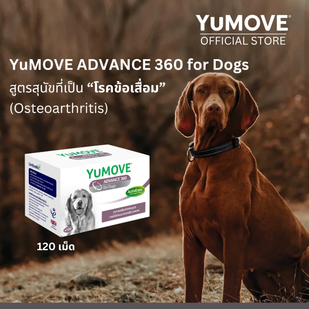 YuMOVE ADVANCE 360 for Dogs (120 เม็ด) สูตรดูแลข้อต่ออย่างครบถ้วนสำหรับสุนัขที่มีภาวะข้อเสื่อมแล้ว