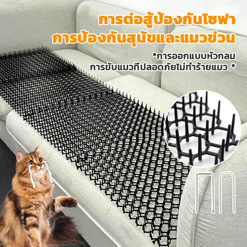 พร้อมส่ง หนามไล่แมว ปลอดภัยที่ไล่แมว ที่กันแมว ที่ไล่แมว หนามกันแมว แผงกันแมว ไล่แมว ไล่แมวไม่ให้ขั้นรถ หนามไล่สุนัข