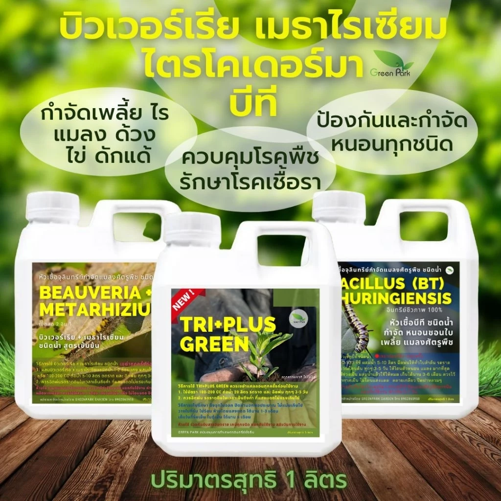 ไตรโคเดอร์ม่า บิวเวอร์เรีย เมธาไรเซียม BT บีที ขนาด 1 ลิตร ชุด 3 แกลลอน ควบคุมโรคพืช เชื้อรา ใบจุด กำจัดเพลี้ย แมลง หนอน