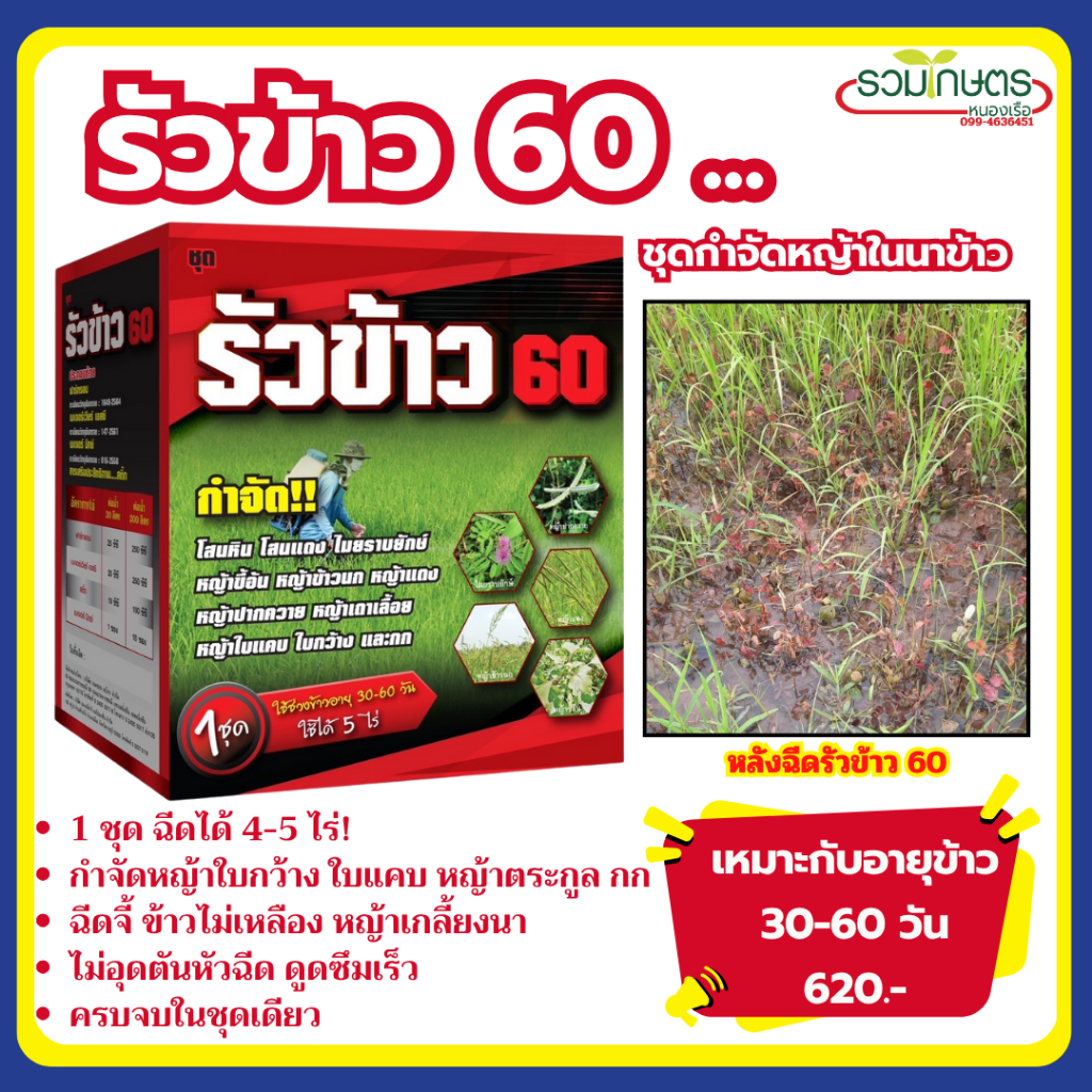 รัวข้าว60 (โปรโมชั่น) ชุดกำจัดหญ้าในนาข้าว กำจัดหญ้าใบแคบ ใบกว้าง กก เหมาะกับข้าวอายุ30-60วันขึ้นไป