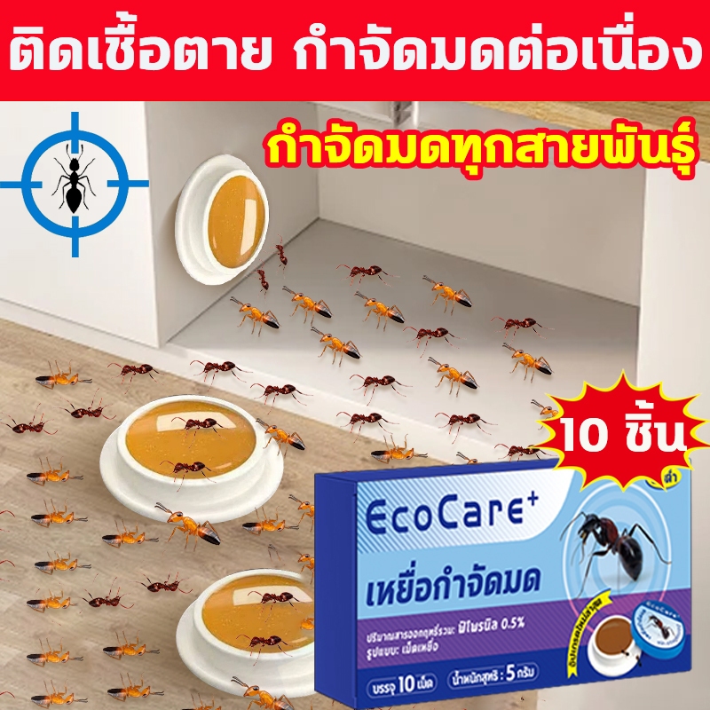 🐜ตายยกรัง🐜กำจัดมด ยาฆ่ามด ยากำจัดมด เหยื่อมด 10 ชิ้น/กล่อง เพียงแปะเบา  สามารถฆ่ามดได้ทุกมุม ปลอดภัยต่อคนและสัตว์เลี้ยง