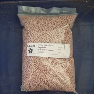ปุ๋ย 8-24-24  ถุงแบ่ง1kgตราเรือใบ ปุ๋ยเร่งดอก เร่งผล เม็ดสีช…