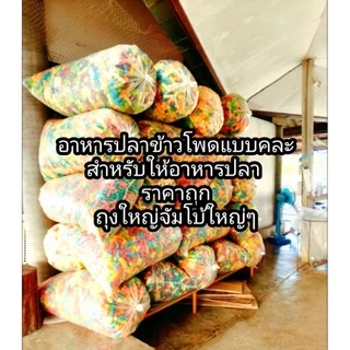 อาหารปลาข้าวโพด(สำหรับให้อาหารปลาตัวไม่สวยA)ถุงจัมโบ้ไซต์ใหญ่เต็มถุง