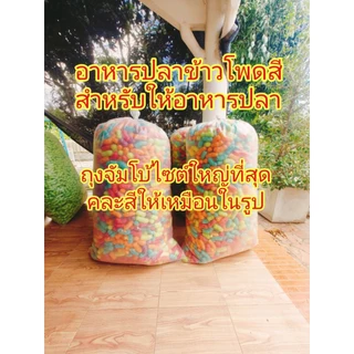 อาหารปลาข้าวโพด(สำหรับให้อาหารปลาตัวไม่สวยA)ถุงจัมโบ้ไซต์ใหญ่เต็มถุง