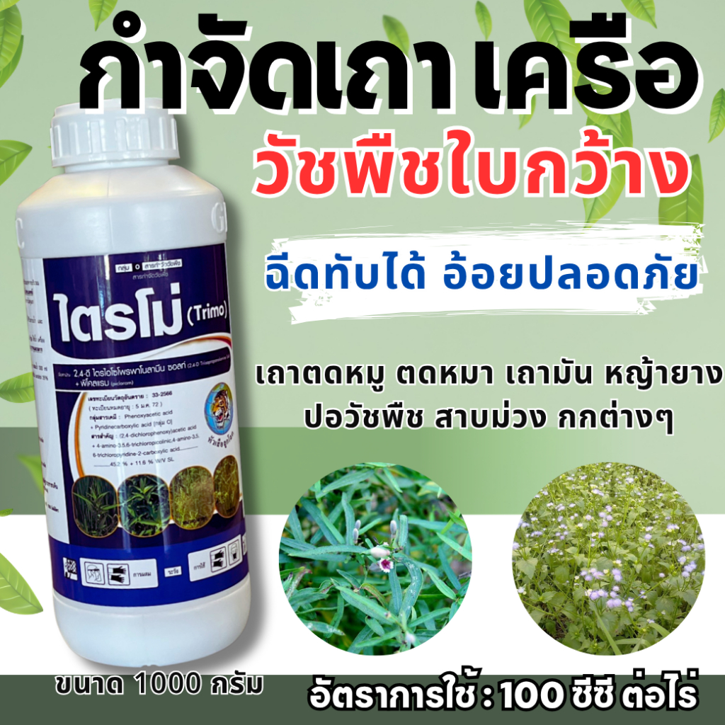 ไตรโม่ 1 ลิตร ปราบหญ้าใบกว้าง เครือเถา ในอ้อย เถาตดหมูตดหมา เถามัน หญ้ายาง ปอวัชพืช สาบม่วง กกต่างๆ
