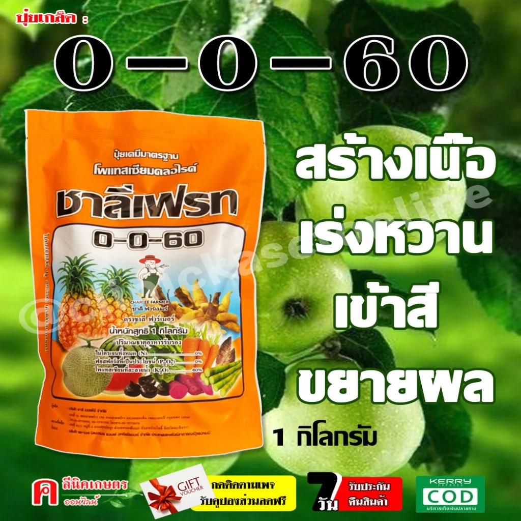// ขายยกลัง // ชาลีเฟรท 0-0-60 ปุ๋ยเกล็ด ( 25kg) โพแทสเซียมคลอไรด์ สร้างเนื้อ เร่งแป้ง เร่งหวาน