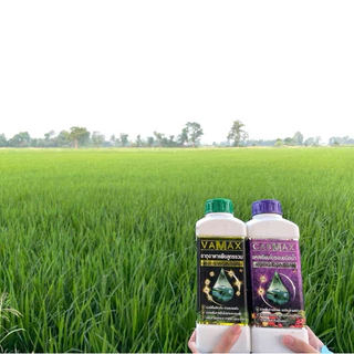 CABMAX+VAMAX ชุดยกลัง 12 ขวด แถมเสื้อปุ๋ย แคลเซียมโบรอนเข้มข้ม แถม ปุ๋ยธาตุรวม [ชุด 6แถม6] V6+C6+เสื้อ