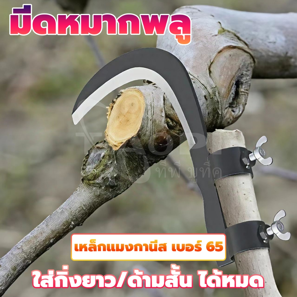 🇩🇪เยอรมันผลิต มีดขอ เคียว เกี่ยวผลไม้บนที่สูง ไม่ต้องปีน เสี่ยงอันตราย เหล็กแมงกานีส หนา คม ทนทาน COD พร้อมส่ง - รูปที่ 4