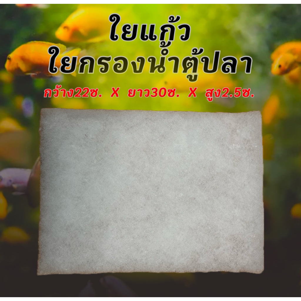 ใยแก้ว เกรด AAA ใยกรองน้ำ ใยกรองน้ำตู้ปลา ใยกรองละเอียด อามิ น้ำเขียวไรแดง ไรแดง ชุดเพาะน้ำเขียว ไรแดงสายพันธุ์มาโคร