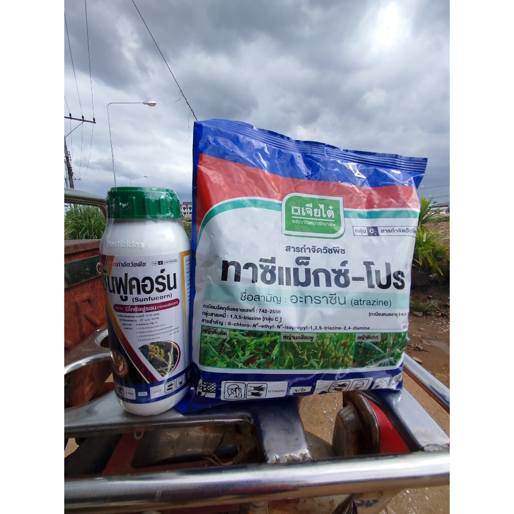 นิโคซัลฟูรอน + อาทราซีน สารกำจัดวัชพืช สารคุมวัชพืช ในข้าวโพด กำจัดข้าวฟ่างผี หญ้าโขย่ง หญ้าปากควาย