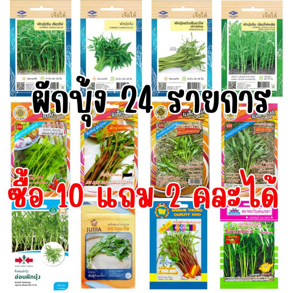 เมล็ดผักบุ้ง ซื้อ 10 แถม 2 คละได้