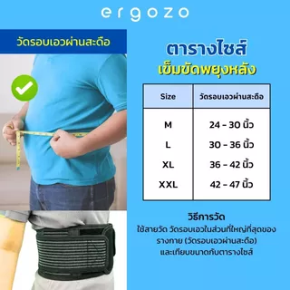เข็มขัดพยุงหลัง Ergozo Lite Duty รุ่น BS105 สายรัดเอว ป้องกันหลัง ปวดหลัง ออฟฟิศซินโดรม