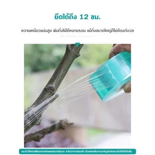 เทปพันกิ่งไม้ อุปกรณ์ทำสวน เทปพันตอนกิ่ง อุปกรณ์การเกษตร เทปพันกิ่งทาบ พลาสติกทาบกิ่ง เทปติดตาต้นไม้ฟิล์มยืด