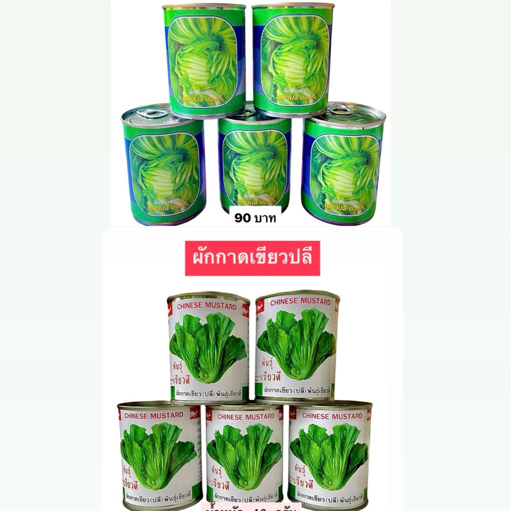 ผักกาด เขียวปลี ( 100 กรัม,40 กรัม)
