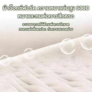 ALM เก้าอี้แคมป์ปิ้ง เก้าอี้สนามพับได้ อุปกรณ์แค้มปิ้ง ปิคนิค ตกปลา พลาสติกเสริมแรง 300กก