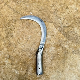 เคียวเกี่ยวข้าว เคียวดีด เคยวเกี่ยวข้าวดีด เคียวเล็ก ใช้งานเ…