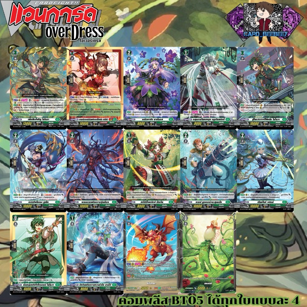 BT05 แยกใบ เนชั่น สโตยเคีย