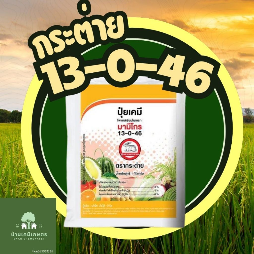 มามีโกร 13-0-46 กระต่าย