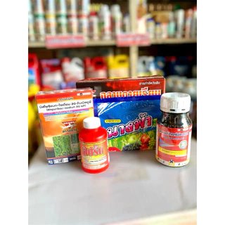 ฉลามตายเรียบ(ชุดยากำจัดหญ้าในนาข้าว) 1กล่องได้4ชิ้น กำจัดวัชพืชใบแคบ ใบกว้าง และกก ในนาข้าว