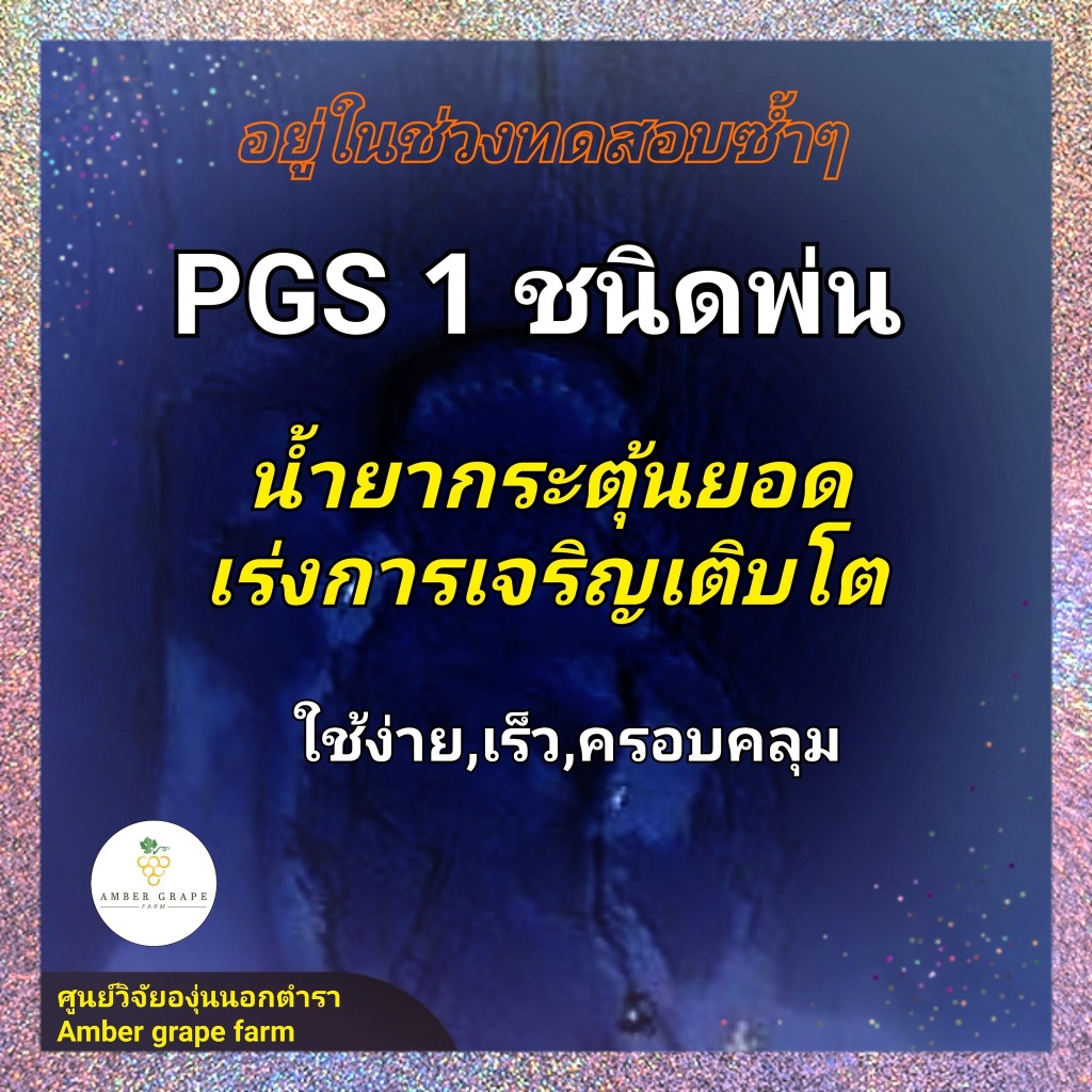 น้ำยาสร้างยอดใหม่เร่งการเจริญเติบโตPGS1ขนาด30ซีซี ราคา ถูกที่สุด ดีลบีเคเค แกลเลอรีภาพที่ 8