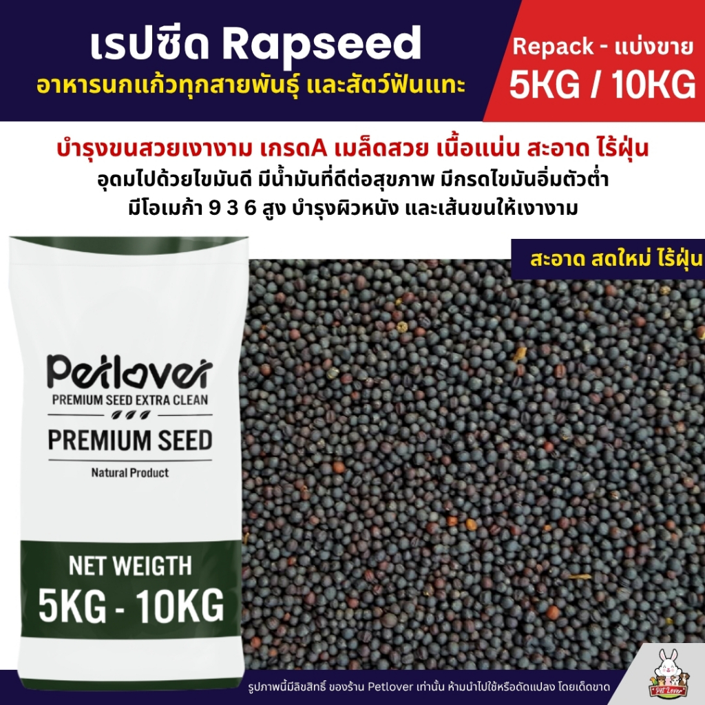 (5KG/10KG) เรปซีด (Rapeseed) อาหารนกแก้ว สำหรับนกแก้วทุกสายพันธุ์ บำรุงขนสวยเงางาม