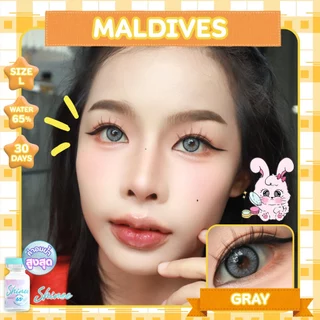 🔥 คอนแทคเลนส์ ✨ขนาดมินิ✨Maldives(Shinee) Brown / Gray / Blue