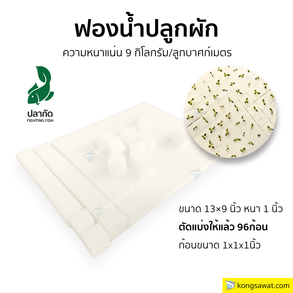 * 10 แผ่น - ฟองน้ำปลูกผัก คราปลากัด ฟองน้ำเพาะกล้า เนื้อแน่น แบ่งตัด 96 ช่อง เจาะรู ความหนาแน่น 9 kg/cubic meter