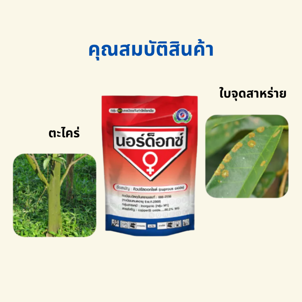 นอร์ด็อกซ์ ยาเชื้อรา สารป้องกันกำจัดโรคพืช (ใบติด แคงเกอร์ ใบจุดสาหร่าย ตะไคร่น้ำ) ขนาด1กก.